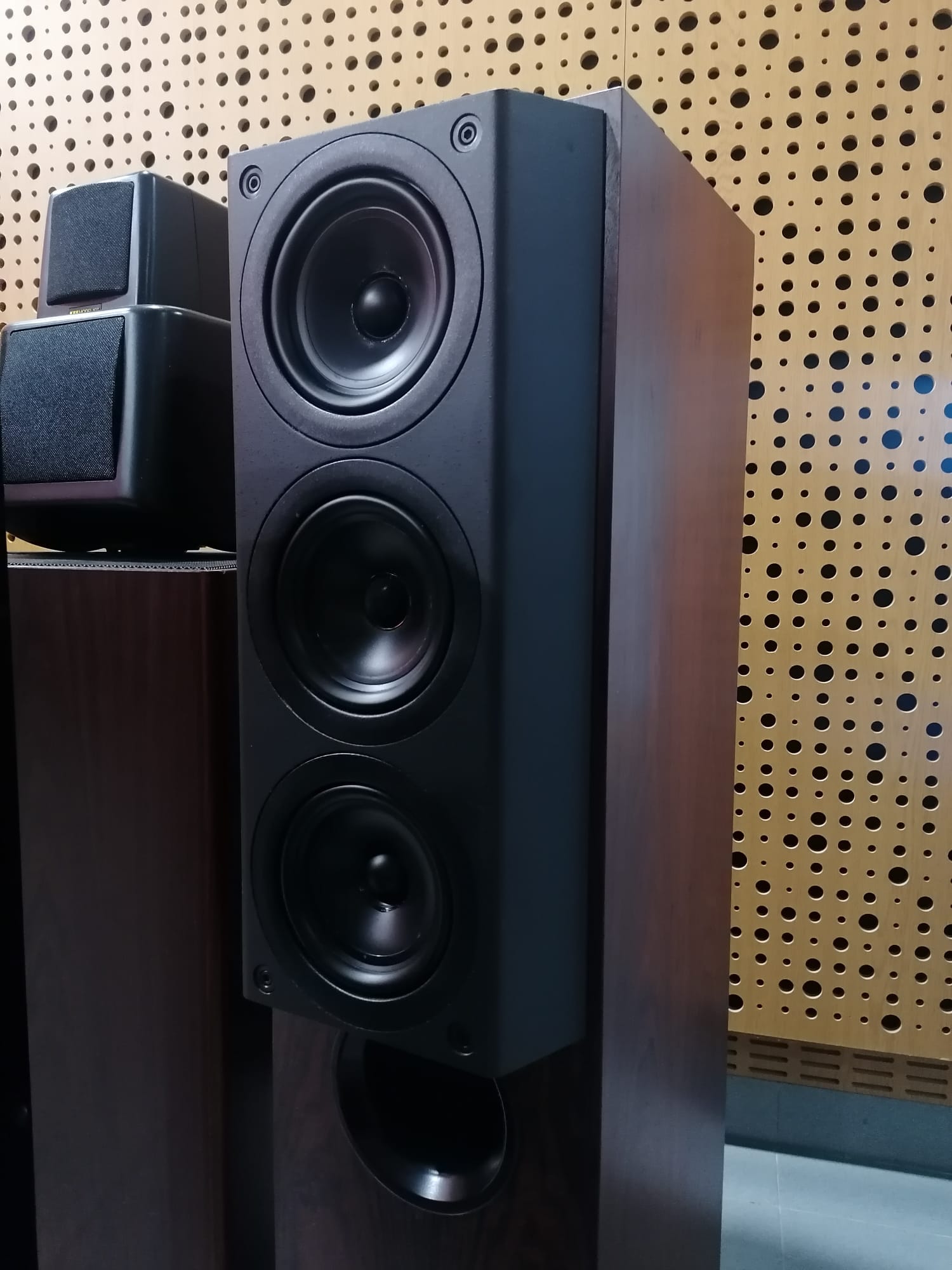 Imagem WhatsApp 2024-10-16 às 14.53.01_26092cff